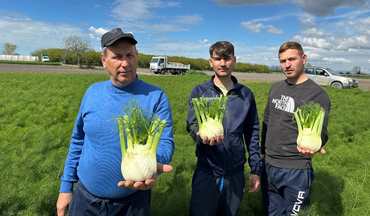 Società Agricola De Rosa e Petrella
